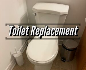 Toilet Replacement